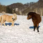 Homann Sauerland Brilon