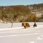 Homann Sauerland Brilon