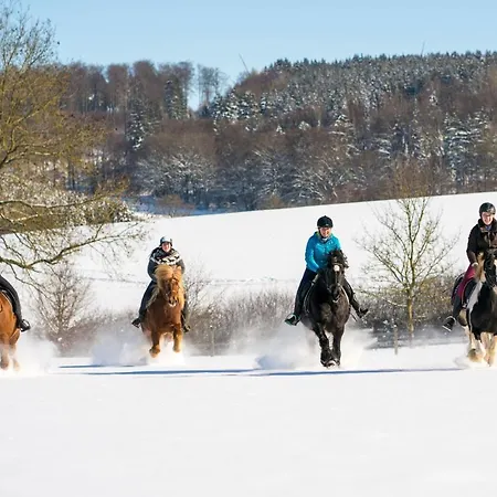 Apartamento Homann Sauerland *