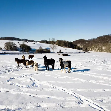 Homann Sauerland Apartamento *
