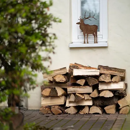 Homann Sauerland Brilon