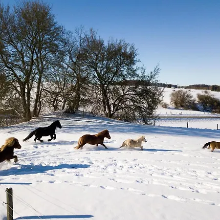 Apartamento Homann Sauerland Brilon