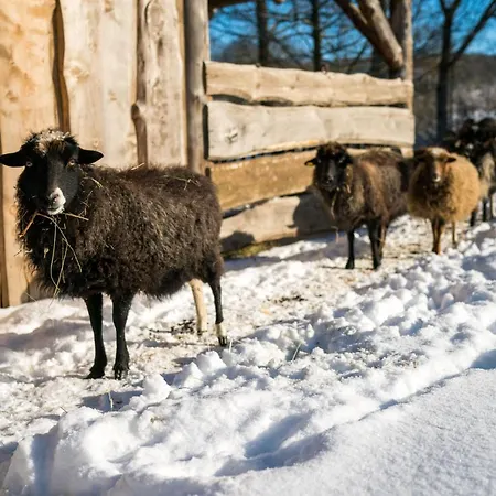 Apartamento Homann Sauerland Brilon