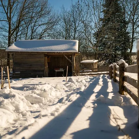 Homann Sauerland شقة بريلون