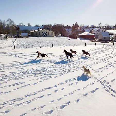 Homann Sauerland Apartamento