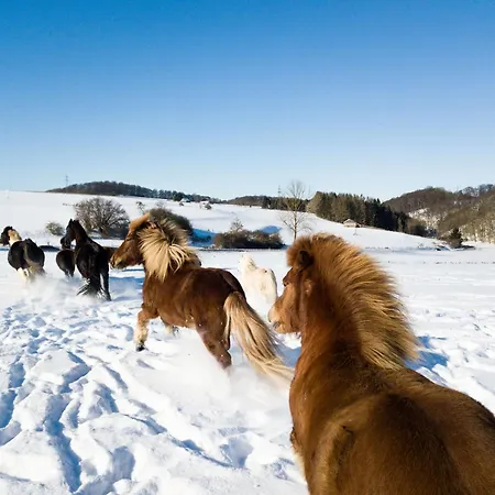 Homann Sauerland Apartamento *