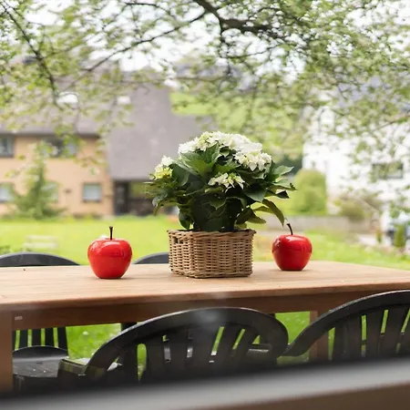 Apartamento Homann Sauerland *