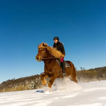 شقة Homann Sauerland بريلون