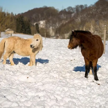 Homann Sauerland بريلون