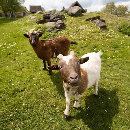 Homann Sauerland Apartamento Brilon