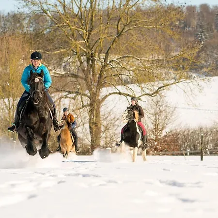 Apartamento Homann Sauerland