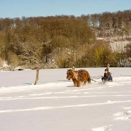 Homann Sauerland بريلون