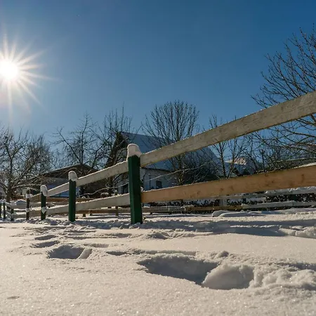 Homann Sauerland Brilon