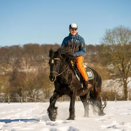 Homann Sauerland Apartamento Brilon