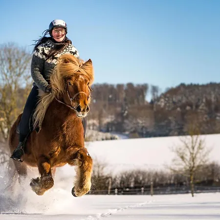 شقة Homann Sauerland
