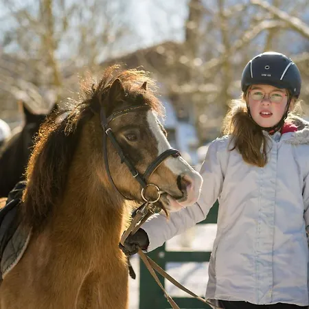Homann Sauerland Apartamento Brilon