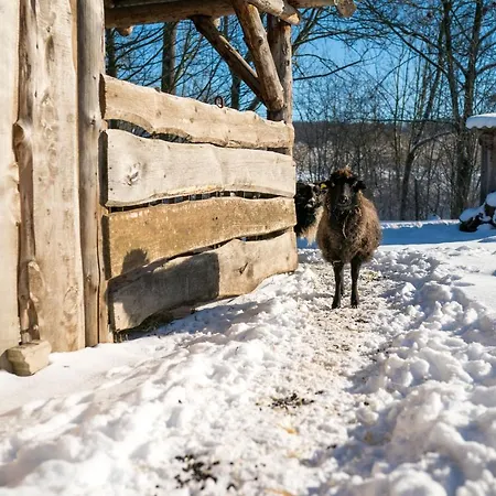 Homann Sauerland Apartamento