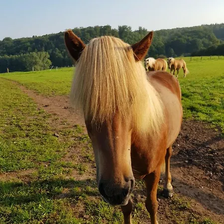 Apartamento Homann Sauerland