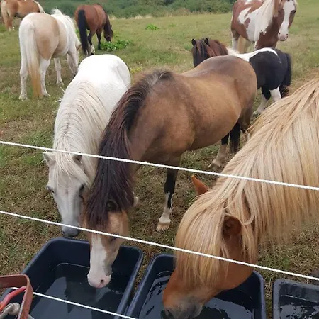 Homann Sauerland Apartamento *