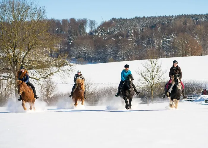 Daire Homann Sauerland *