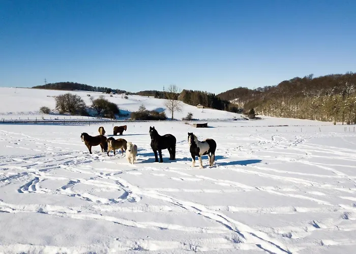 Homann Sauerland Apartment *