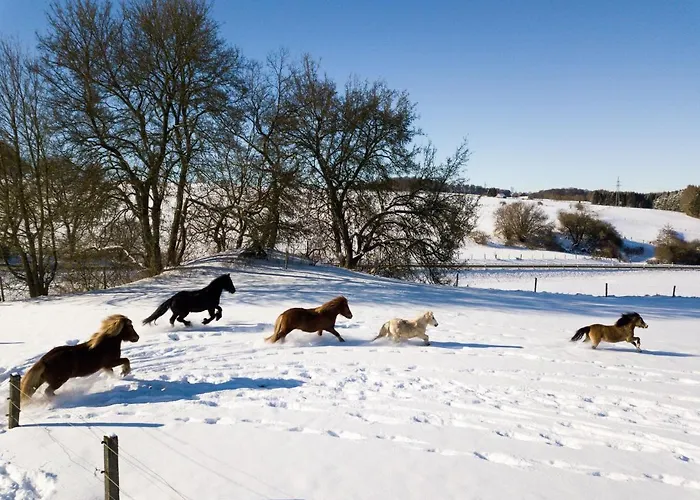 Apartment Homann Sauerland Brilon