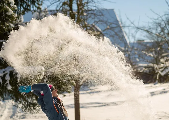 Homann Sauerland Brilon