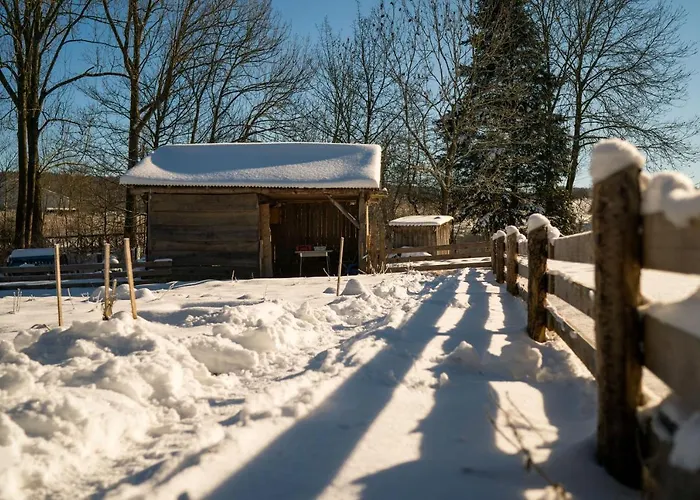 Homann Sauerland Apartment Brilon
