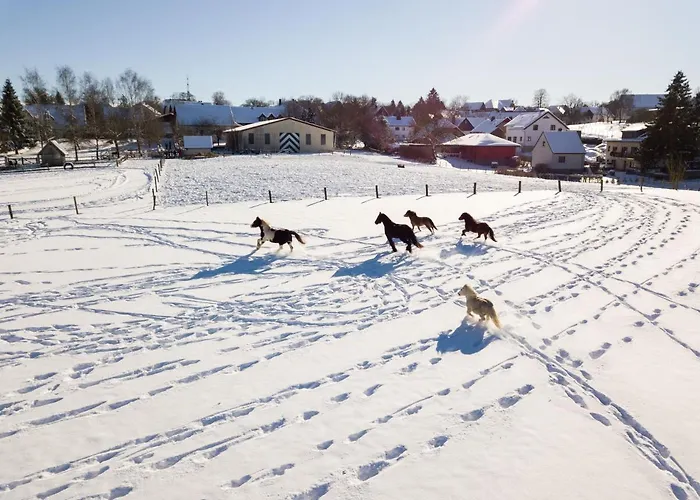 Homann Sauerland Apartment