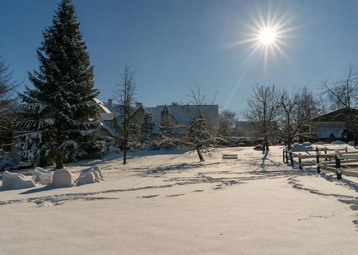 Daire Homann Sauerland