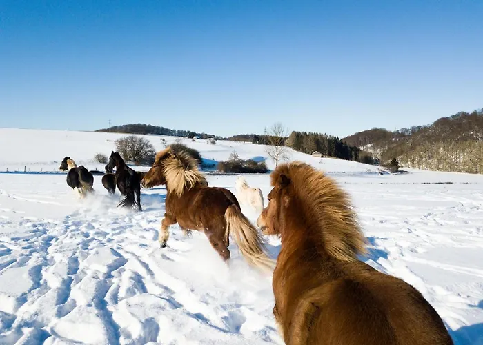 Homann Sauerland Apartment *