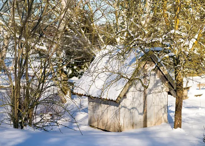 Homann Sauerland Apartment