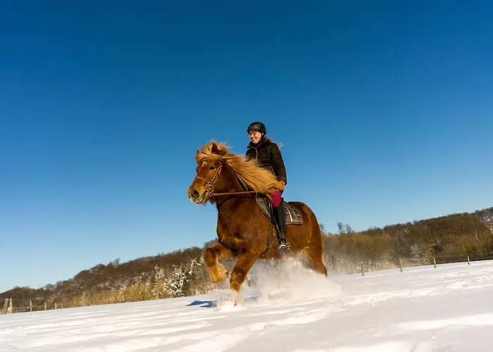 Apartment Homann Sauerland Brilon