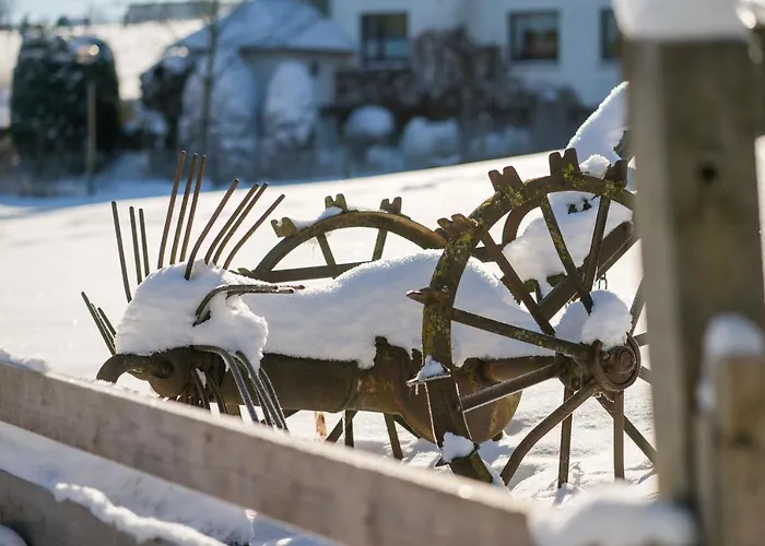 Daire Homann Sauerland