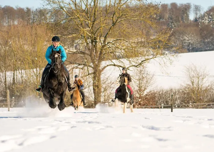 Daire Homann Sauerland