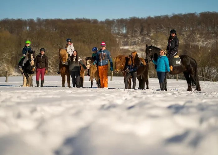 Daire Homann Sauerland Brilon