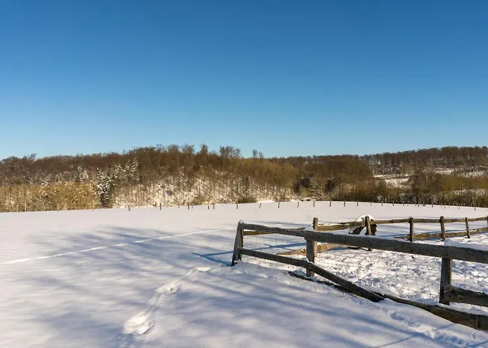 Homann Sauerland Daire