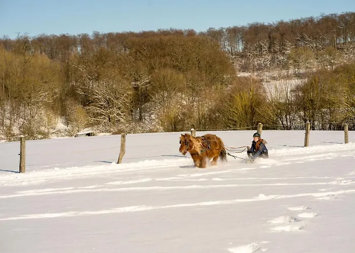 Homann Sauerland Brilon