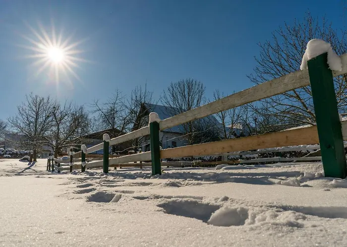 Homann Sauerland Brilon