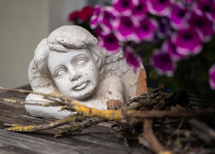 Daire Homann Sauerland Brilon