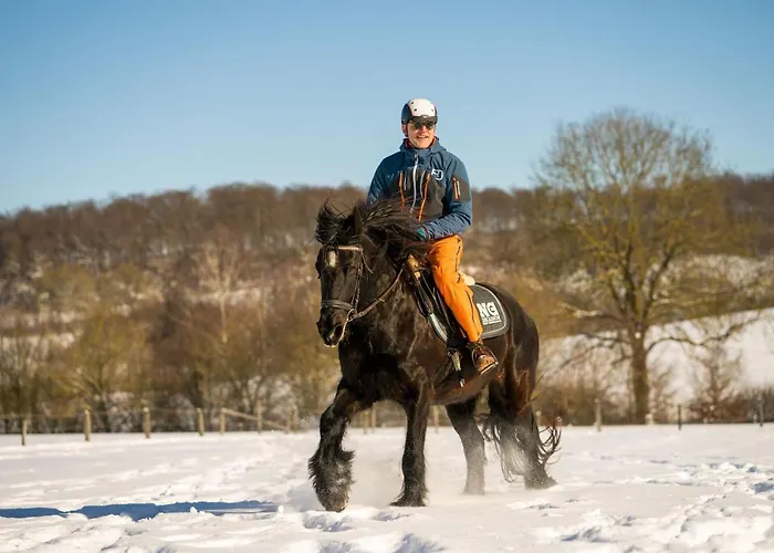 Homann Sauerland Daire Brilon