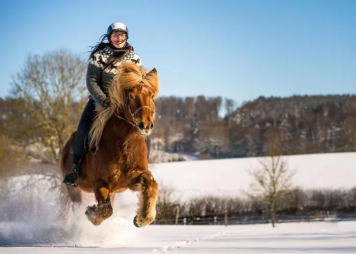 Daire Homann Sauerland