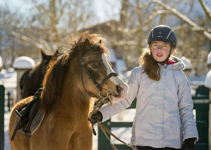 Homann Sauerland Apartment Brilon