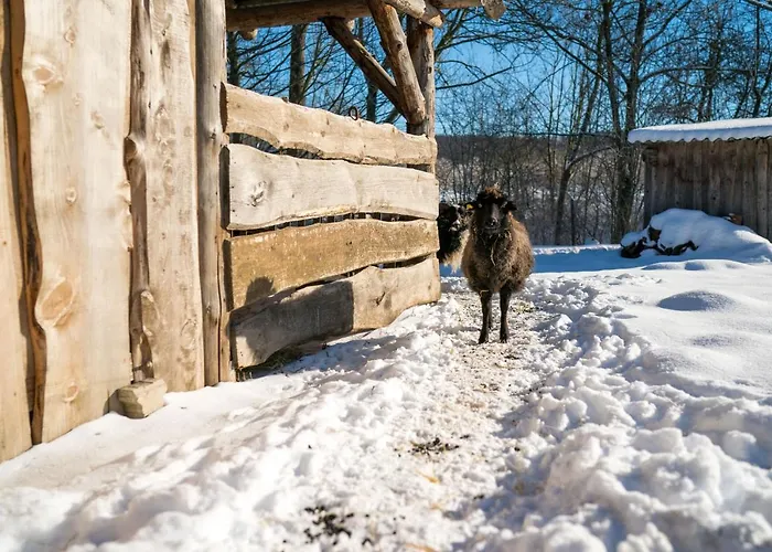 Homann Sauerland Apartment